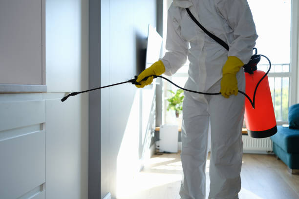 Best Commercial Mold Removal  in Ventress, LA