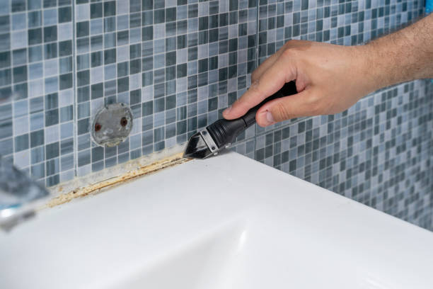 Best Commercial Mold Removal  in Ventress, LA