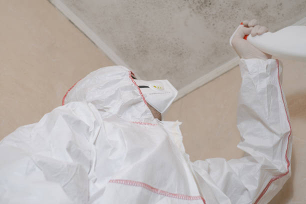Best Mold Testing  in Ventress, LA